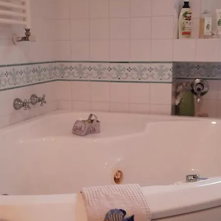 Judith Wright's מאיורי