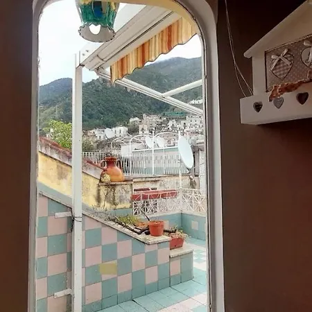 Judith Wright's * מאיורי