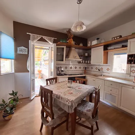 Judith Wright's מאיורי