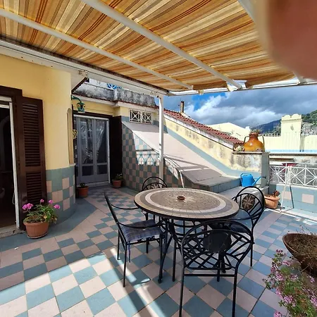 Judith Wright's מאיורי